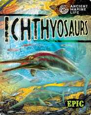 Ancient Marine Life: Ichthyosaurs