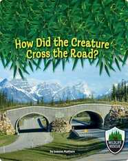 How Did the Creature Cross the Road?