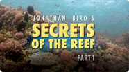 Jonathan Bird's Blue World: Secrets of the Reef - Part 1