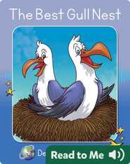 Decodable Explorers: The Best Gull Nest