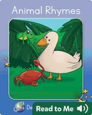 Decodable Explorers: Animal Rhymes