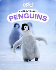 Cute Animals: Penguins