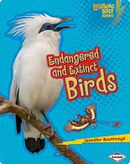 Endangered and Extinct: Birds