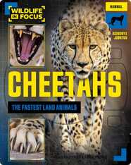 Cheetahs: The Fastest Land Animals