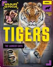 Tigers: The Largest Cats