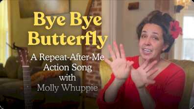 Bye Bye Butterfly book