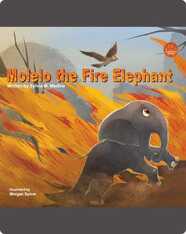 Molelo the Fire Elephant