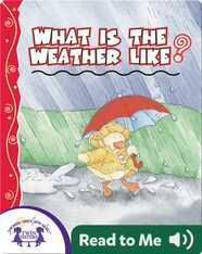 What is the Weather Like?