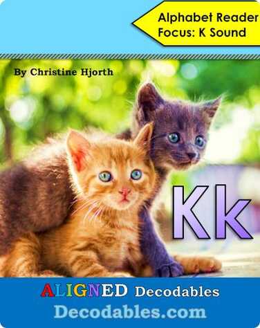 Kk Book book