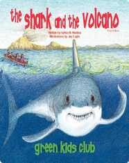 The Shark and the Volcano