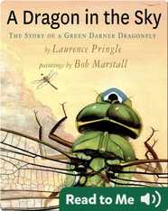 A Dragon in the Sky: The Story of a Green Darner Dragonfly
