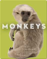 Zoo Animals: Monkeys