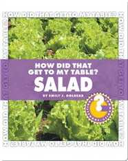 How Did That Get To My Table? Salad