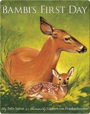 Bambi's First Day