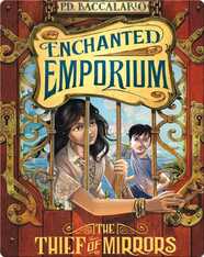 Enchanted Emporium: The Thief of Mirrors