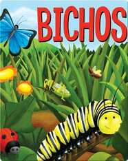 Bichos