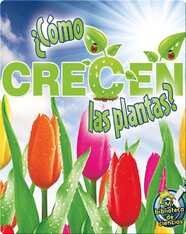 ¿Cómo crecen las plantas? (How Do Plants Grow?)