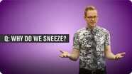 Why Do We Sneeze?