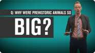 Why Were Prehistoric Animals So Big?
