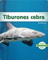 Tiburones cebra