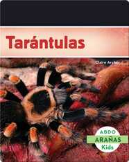 Tarántulas