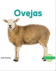 Ovejas