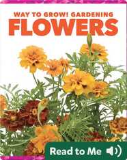 Way to Grow! Gardening: Flowers