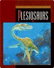 Plesiosaurs