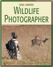 Wildlife Photographer