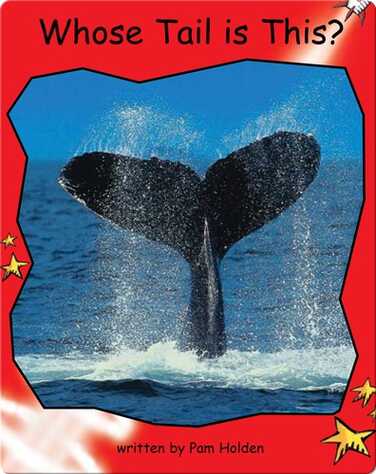 Whose Tail is This? book