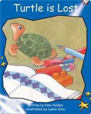 Turtle is Lost