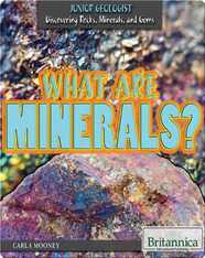 What Are Minerals?