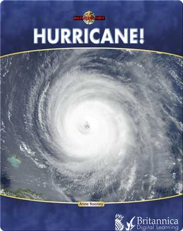 Hurricane! book