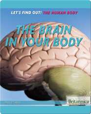The Brain in Your Body
