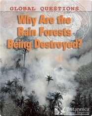 Why Are the Rain Forests Being Destroyed?