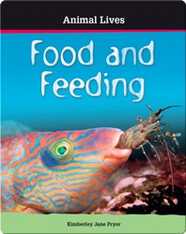 Food and Feeding