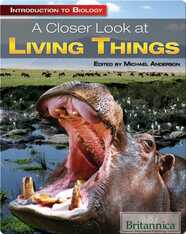 A Closer Look at Living Things