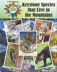Keystone Species that Live in the Mountains