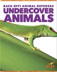 Back Off! Undercover Animals