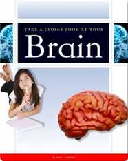 Take a Closer Look at Your Brain