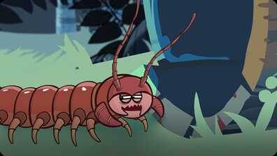 I'm a Centipede book