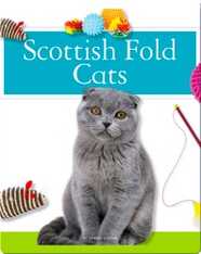Scottish Fold Cats