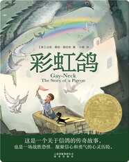 彩虹鸽