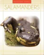 Salamanders