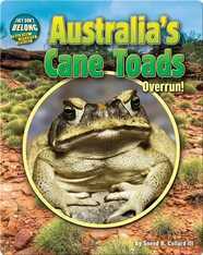 Australia's Cane Toads: Overrun!