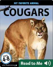 My Favorite Animal: Cougars