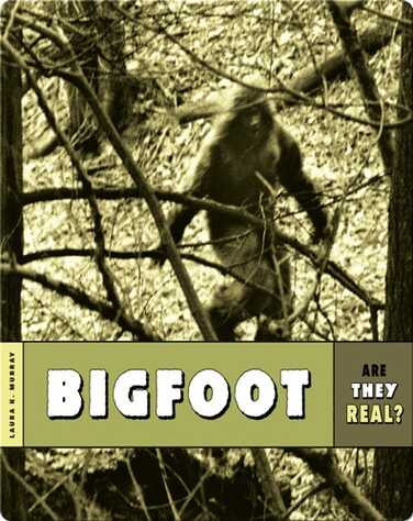 Bigfoot book
