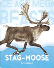 Stag-moose