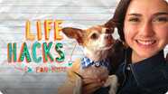 Dog Hacks | LIFE HACKS FOR KIDS