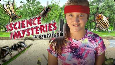 Are Bugs Stronger Than Us? | SCIENCE MYSTERIES REVEALED book